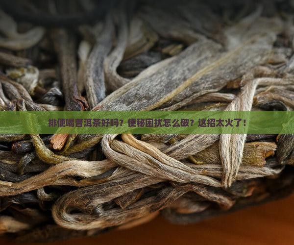 排便喝普洱茶好吗