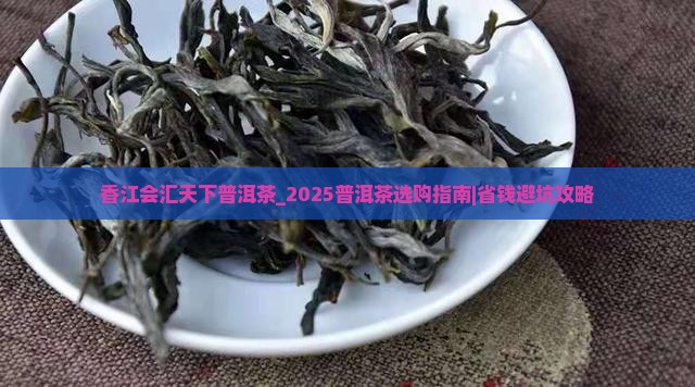 香江会汇天下普洱茶
