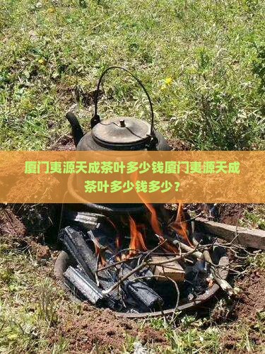 厦门夷源天成茶叶多少钱