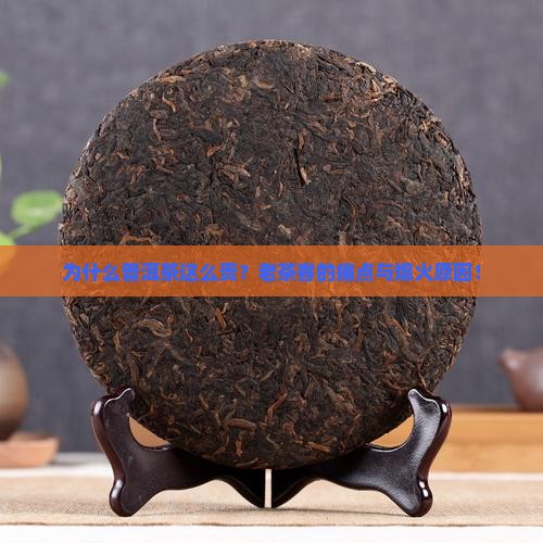 为什么可以兴普洱茶这么贵