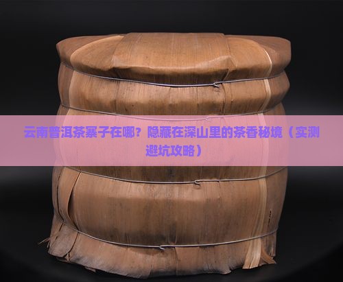云南普洱茶寨子在哪里