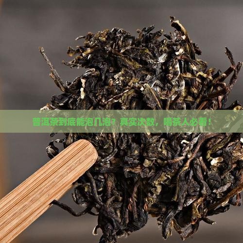 一般普洱茶能泡几次茶叶