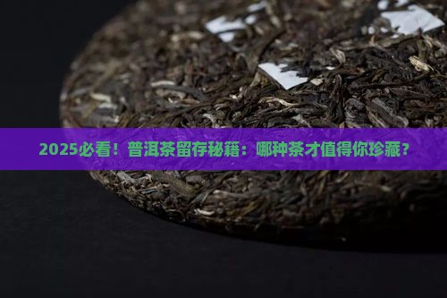 哪种茶普洱茶适合留存
