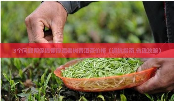 厚德老树普洱茶价格