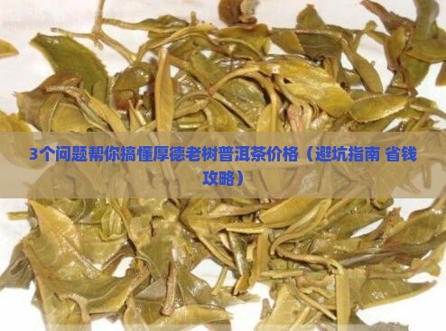 厚德老树普洱茶价格