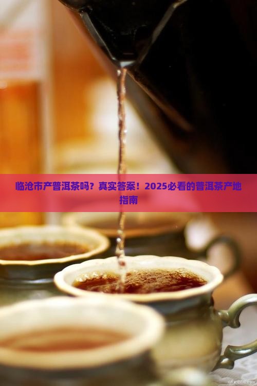 临沧市产普洱茶吗