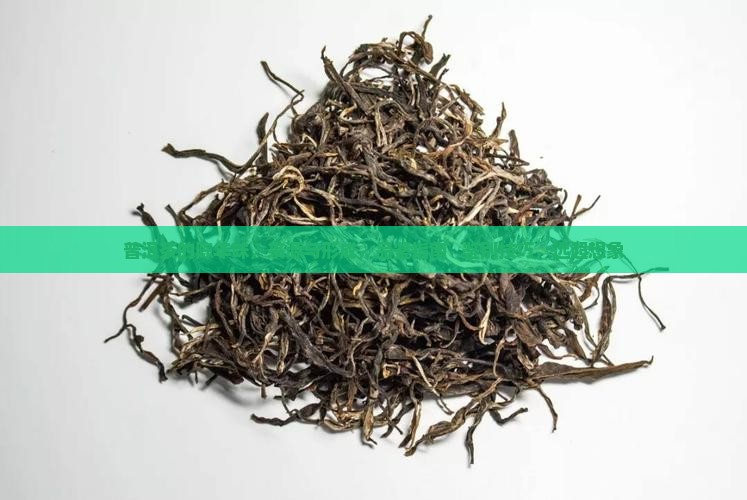普洱茶的渤海味