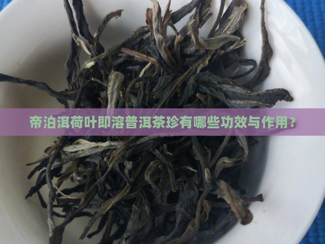 帝泊洱荷叶即溶普洱茶