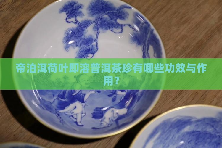 帝泊洱荷叶即溶普洱茶