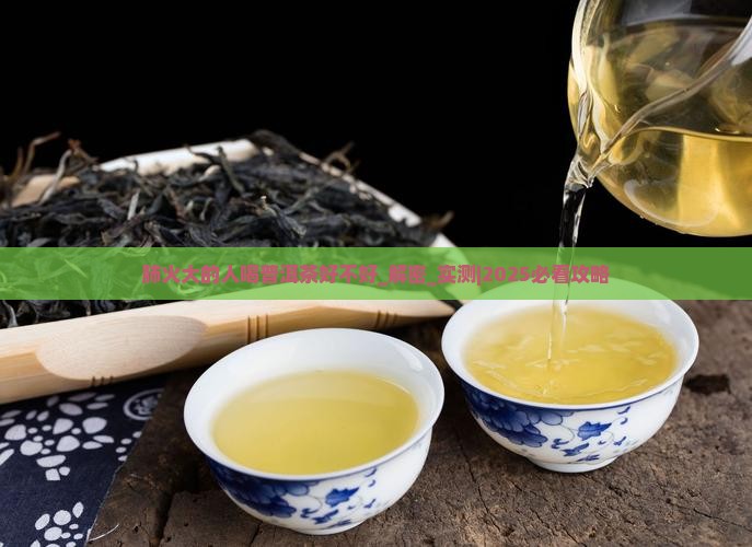 肺火大的人喝普洱茶好不好