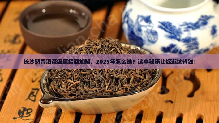 长沙熟普洱茶渠道招商加盟