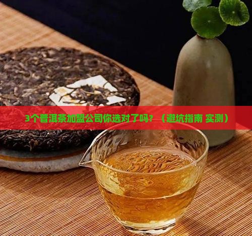 普洱茶加盟渠道有哪些公司