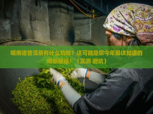 喝南诺普洱茶有什么功效
