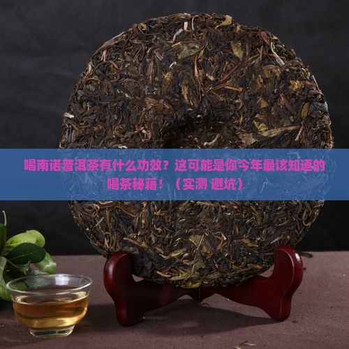喝南诺普洱茶有什么功效