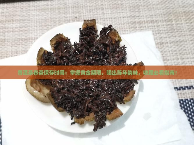 普洱茶春茶保存时间