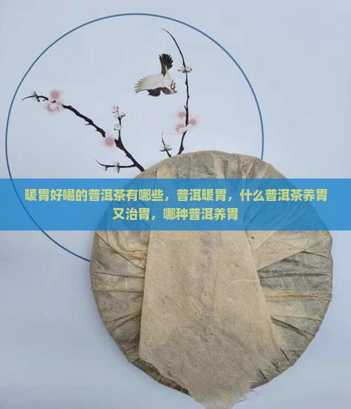 暖胃好喝的普洱