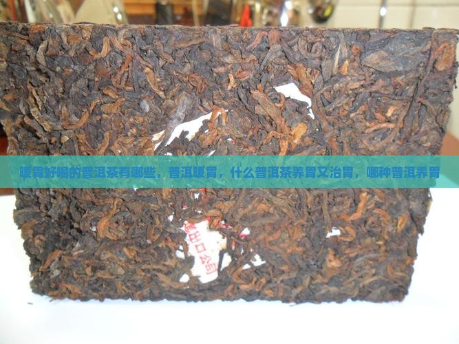 暖胃好喝的普洱