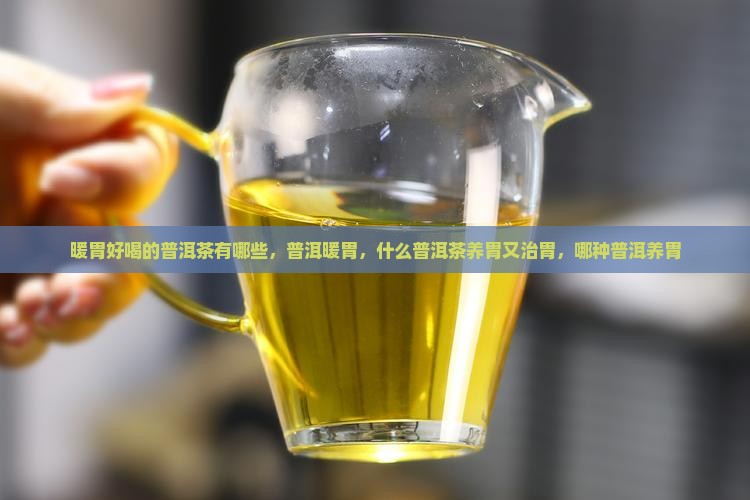暖胃好喝的普洱