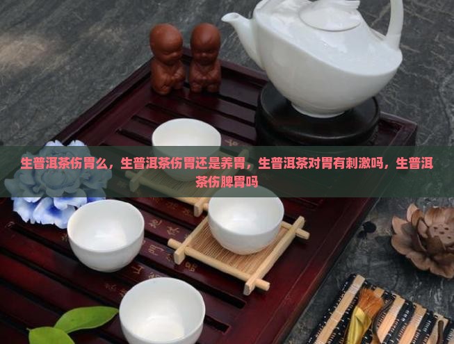 生普洱茶伤胃么