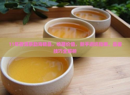 11年普洱茶勐海精品