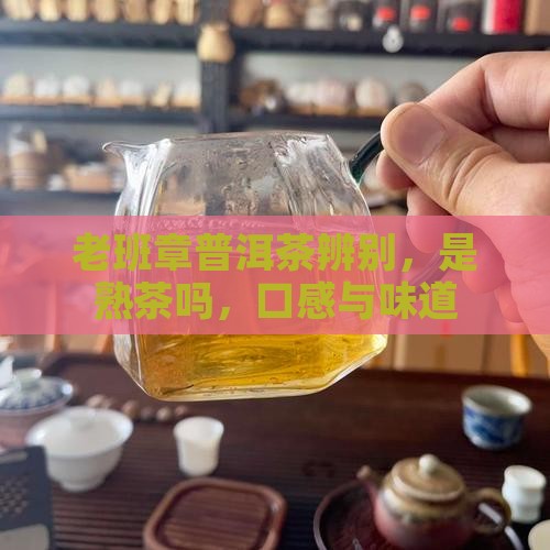 老班章普洱茶辨别
