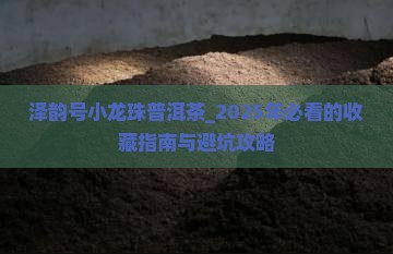 泽韵号小龙珠普洱茶