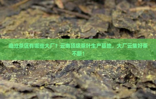 临沧茶区有哪些大厂