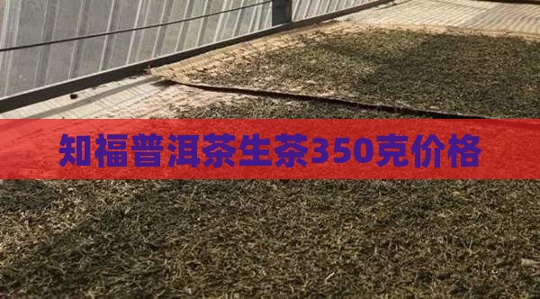 知福普洱茶生茶