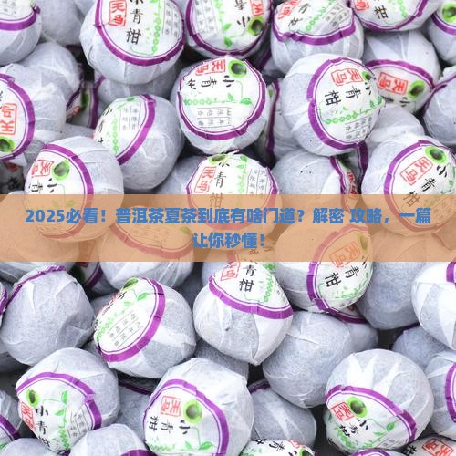 什么是普洱茶夏茶