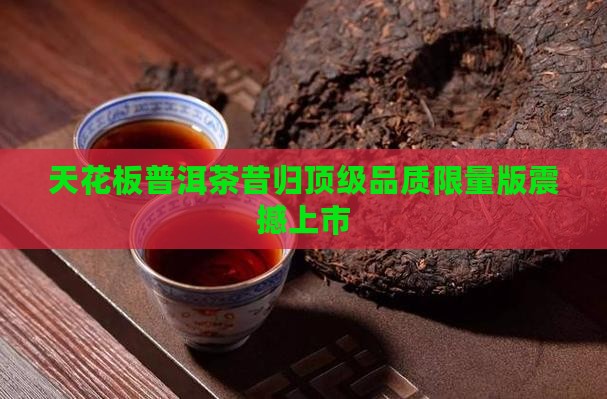 天花板普洱茶昔归