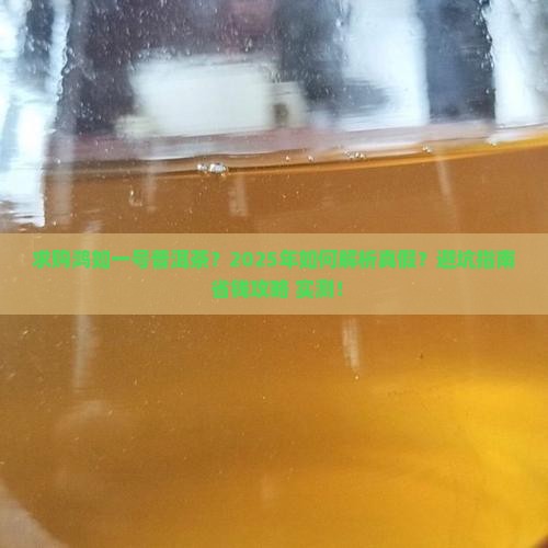 求购鸿如一号普洱茶