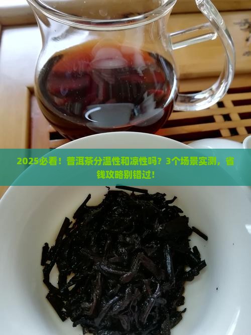 普洱茶分温性和凉性吗