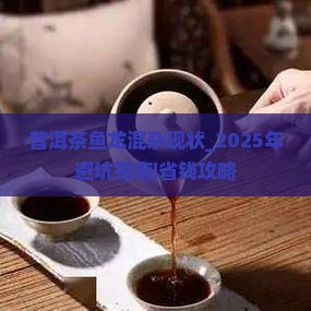 普洱茶鱼龙混杂现状
