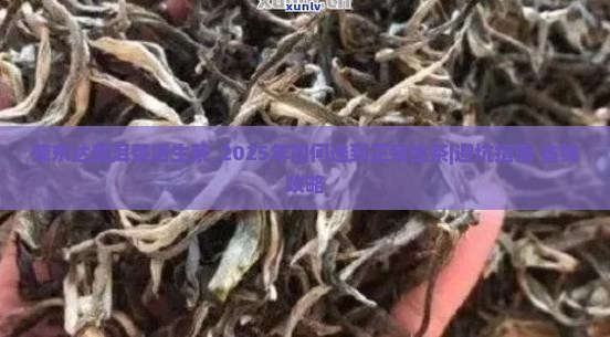荣东达普洱茶店生茶
