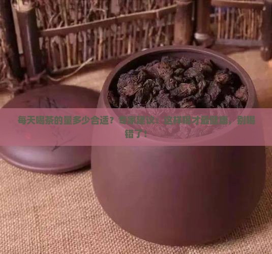 每天喝茶的量多少合适