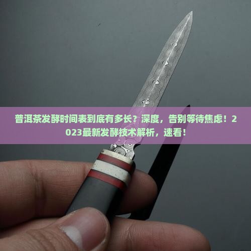 普洱茶发酵时间表