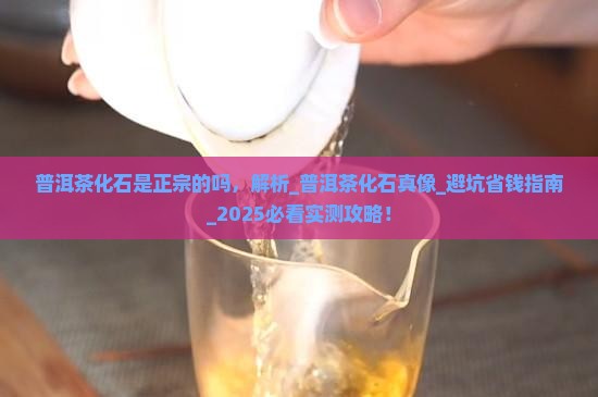 普洱茶化石是正宗的吗