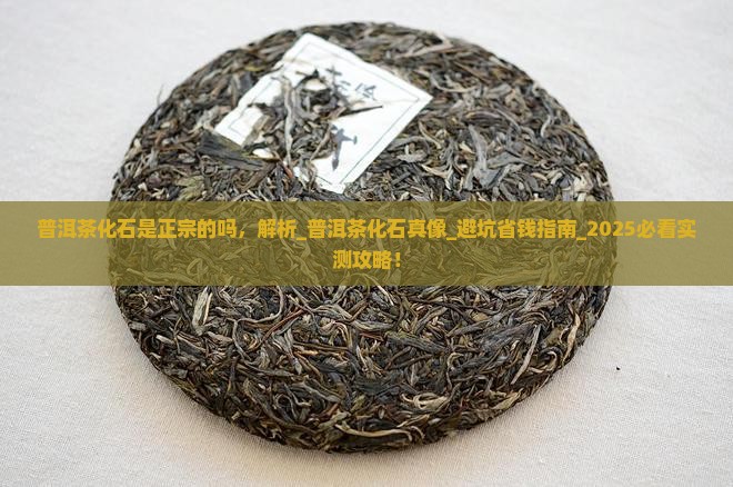 普洱茶化石是正宗的吗