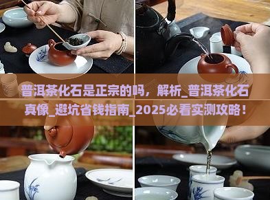普洱茶化石是正宗的吗