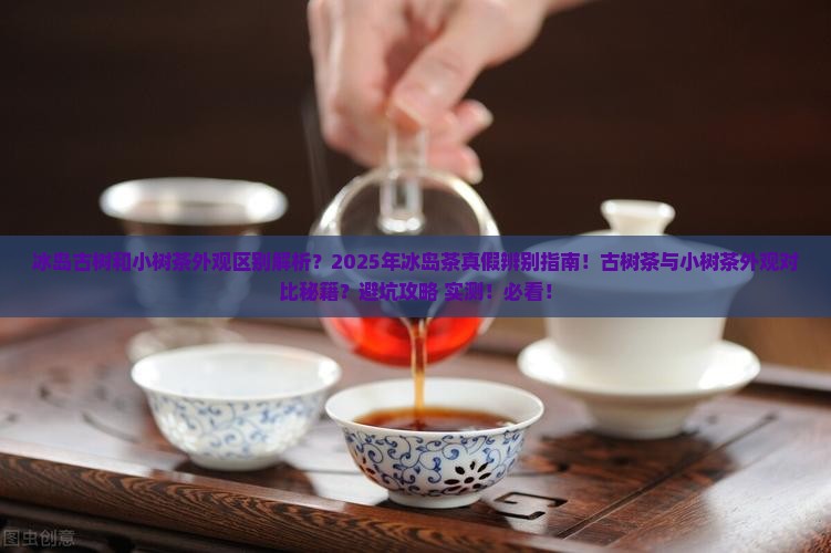 冰岛古树和小树茶外观区别