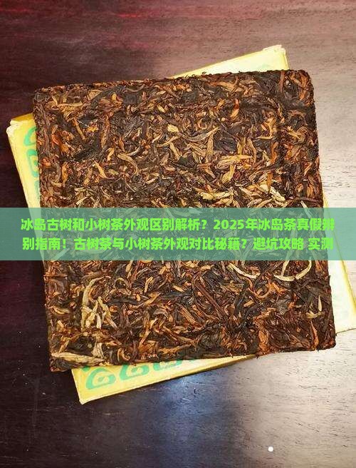 冰岛古树和小树茶外观区别