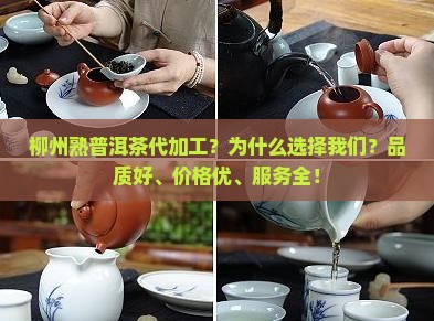柳州熟普洱茶代加工