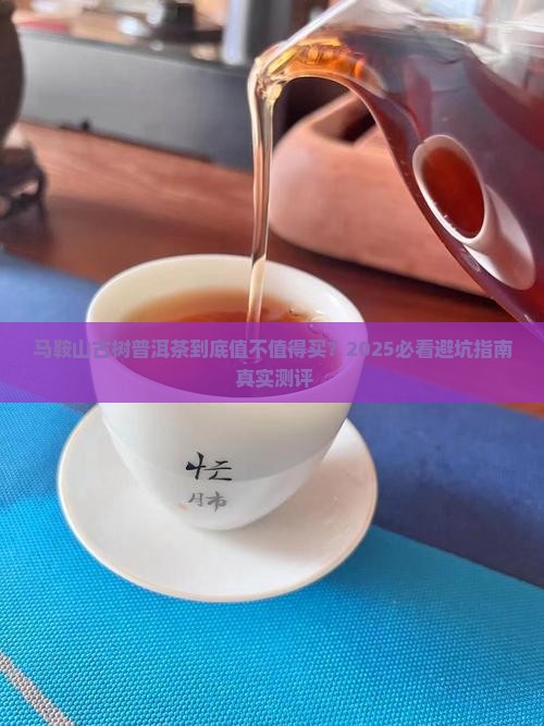 马鞍山古树普洱茶怎样