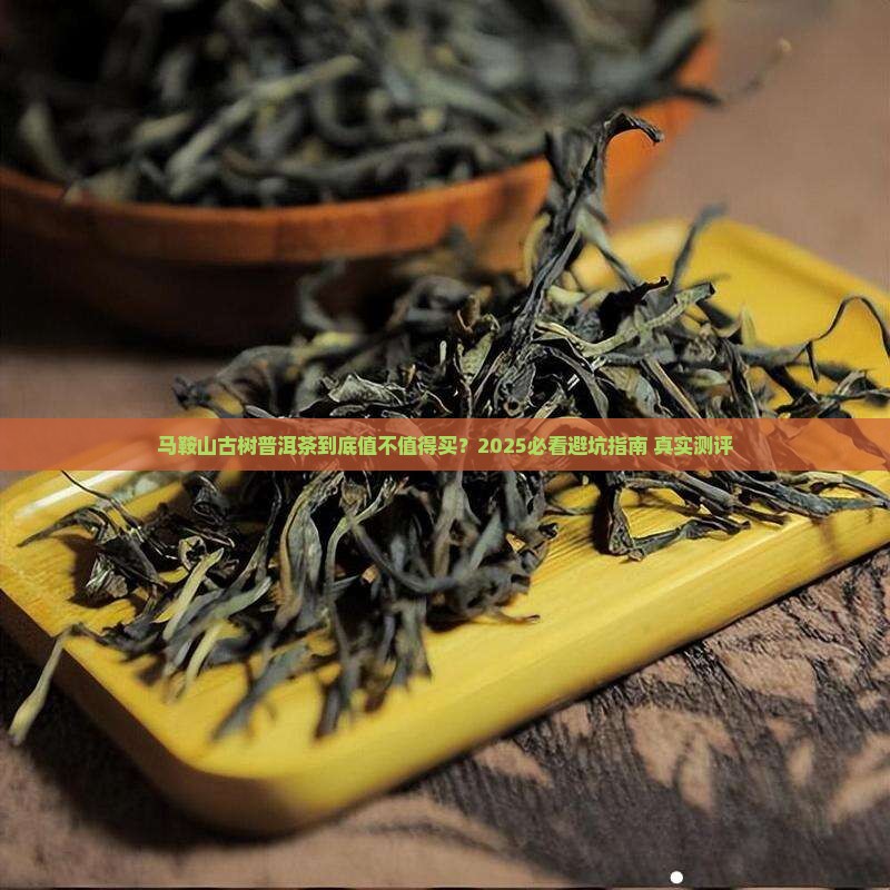 马鞍山古树普洱茶怎样