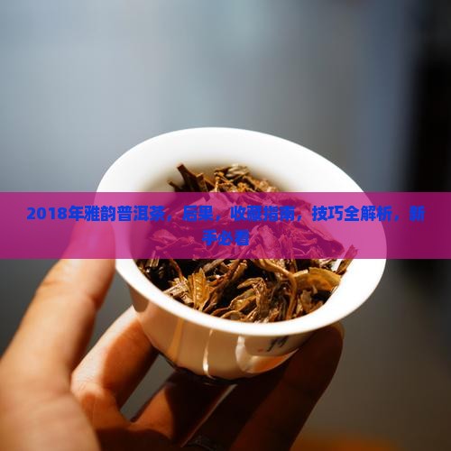 2018年雅韵普洱茶