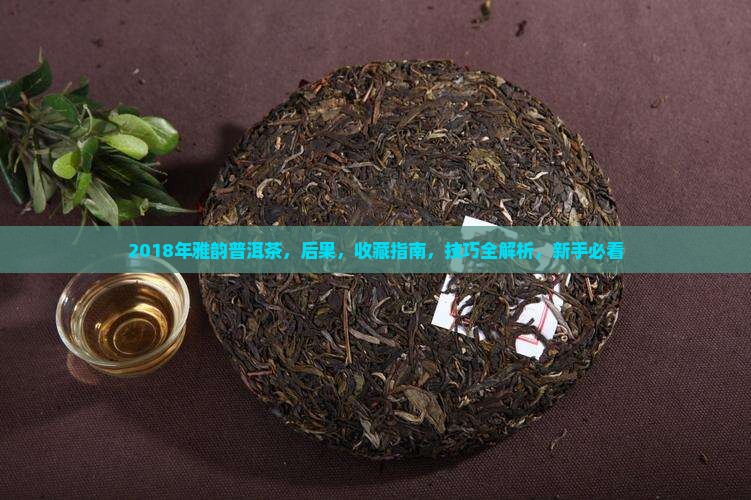 2018年雅韵普洱茶