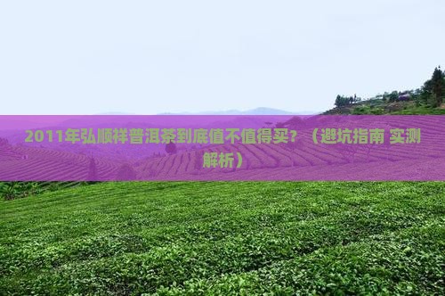 弘顺祥2011年普洱茶