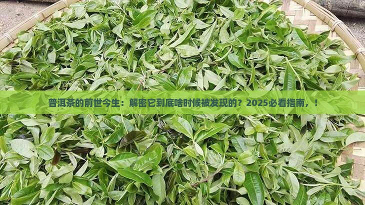 普洱茶是哪年发现的