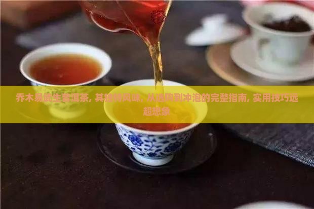 乔木易武生普洱茶