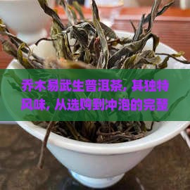 乔木易武生普洱茶
